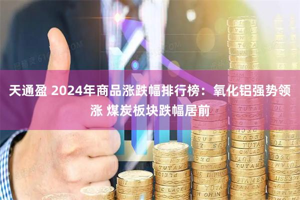 天通盈 2024年商品涨跌幅排行榜：氧化铝强势领涨 煤炭板块跌幅居前