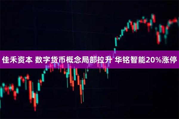 佳禾资本 数字货币概念局部拉升 华铭智能20%涨停