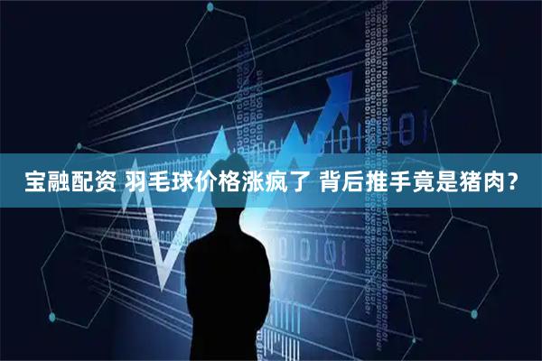 宝融配资 羽毛球价格涨疯了 背后推手竟是猪肉？